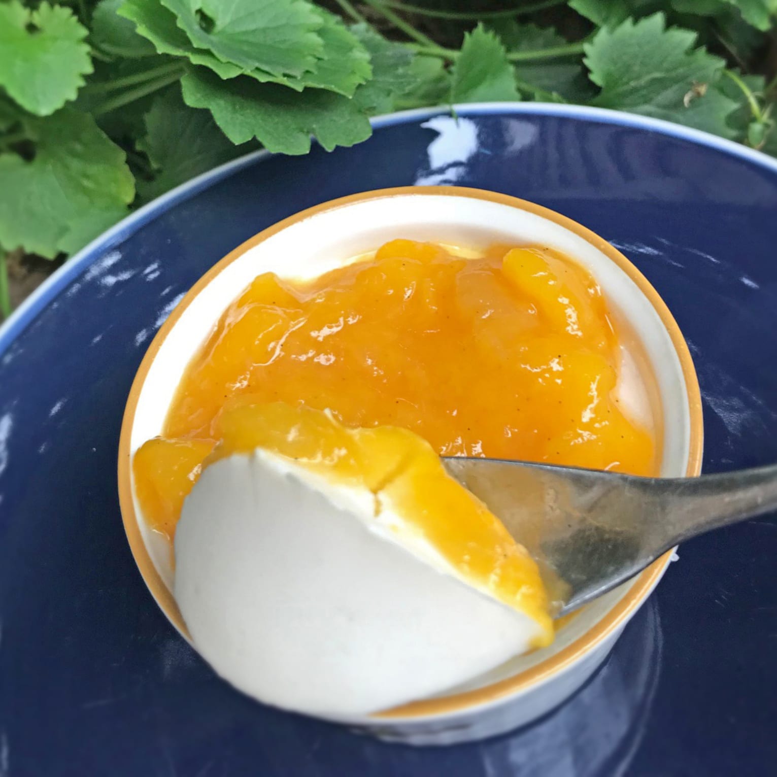 Vegan Panna Cotta - Food Allergy Aware Training Team